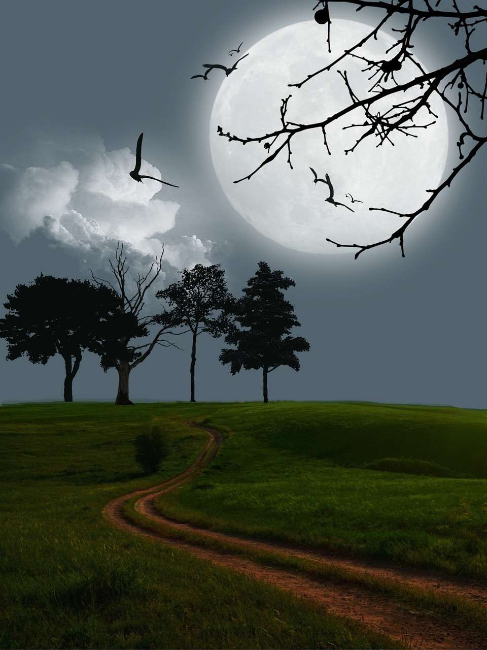 moon, field, digital art, gossendorf