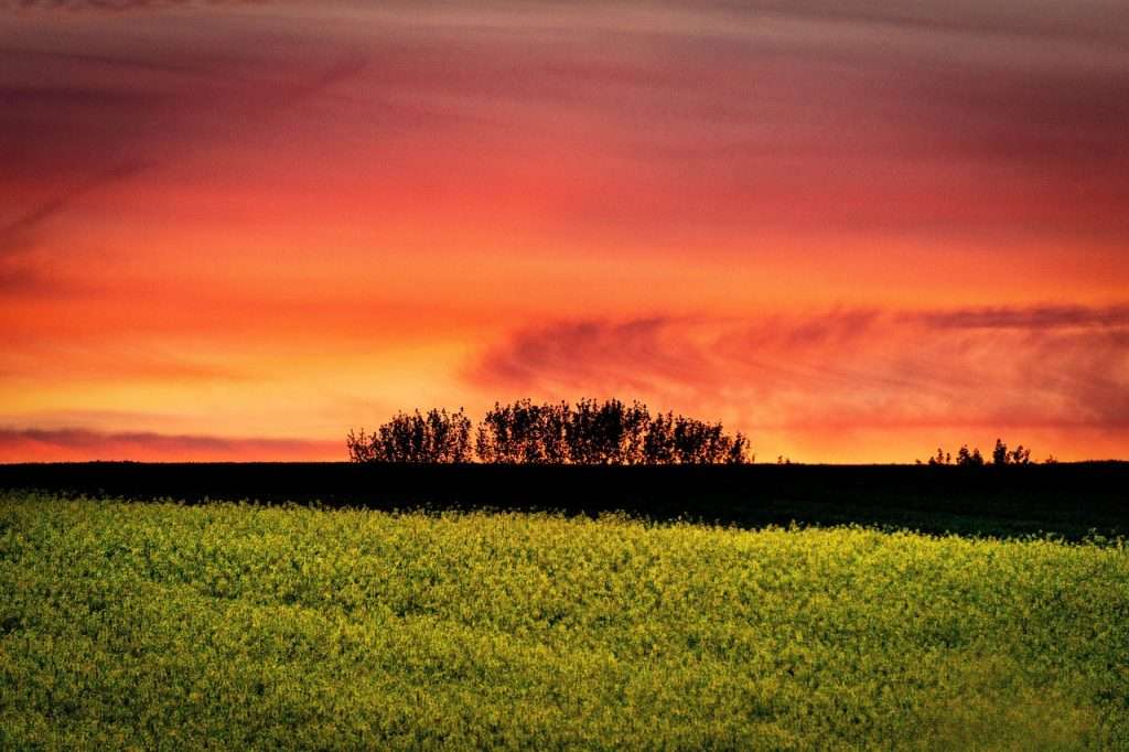 burgenland, sunset, Vollmondwanderung Eberau