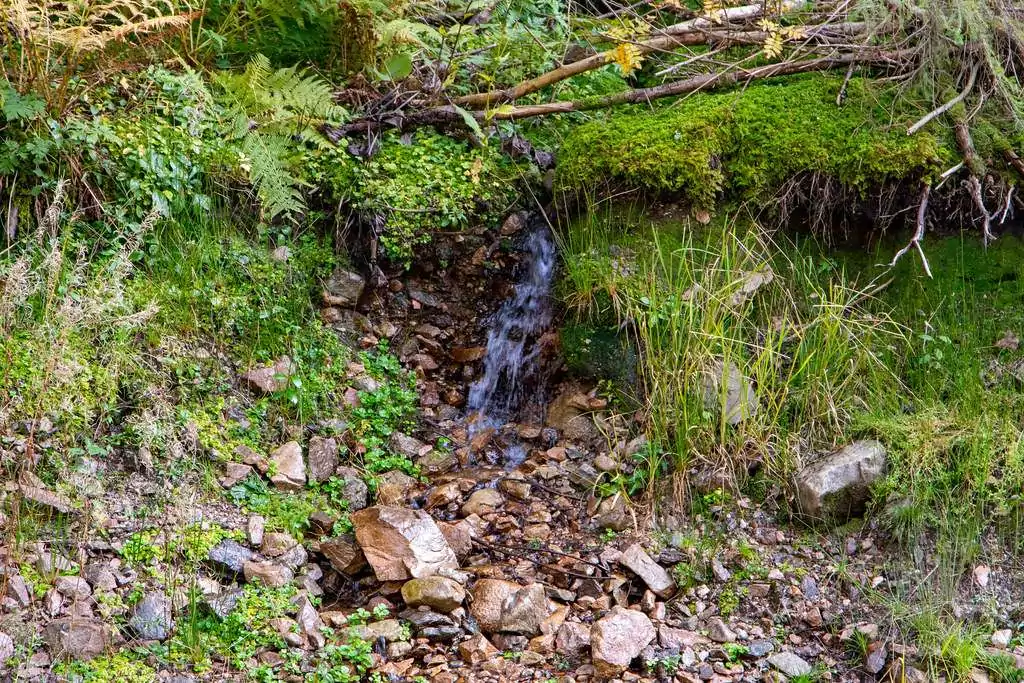 ursprung Waldquelle Kraftquellenweg