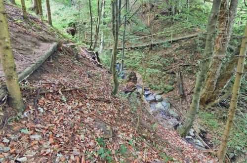 Raabursprung Passail Wandergebiet almenland