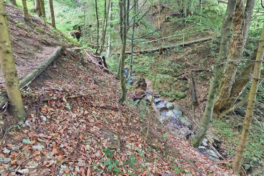 Raabursprung Passail Wandergebiet almenland