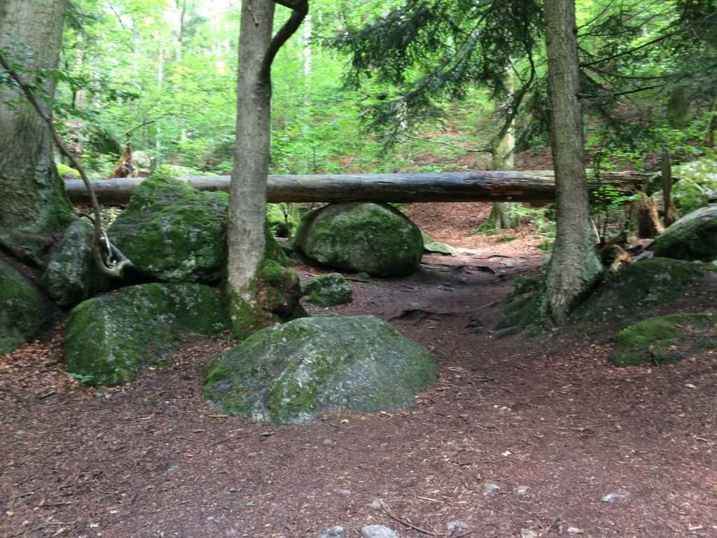 Druidenweg Ysperklamm im wald