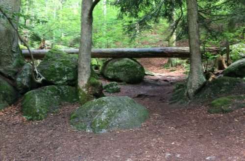 Druidenweg Ysperklamm im wald