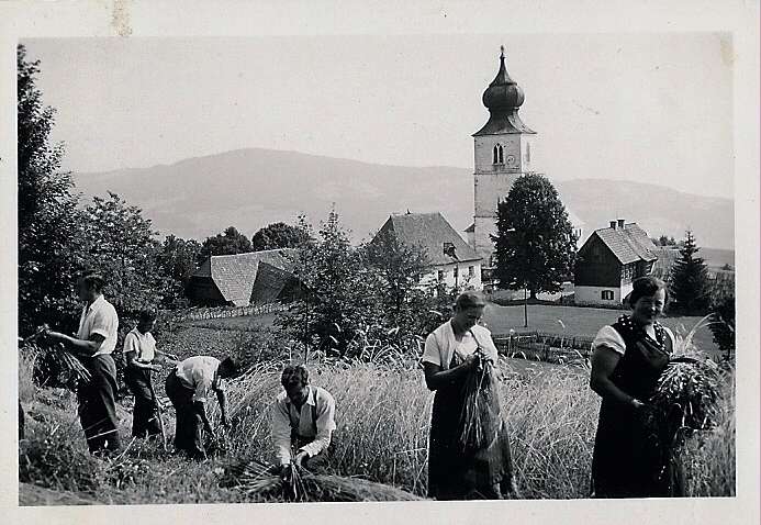 Osterwitz Getreideernte Zachfeld ca. 1930